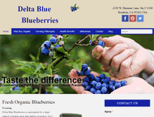 Tablet Screenshot of deltablueberries.com